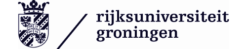 Rijksuniversiteit Groningen logo