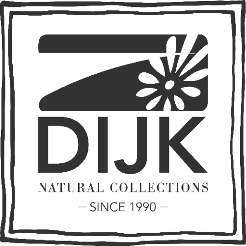 Dijk natural droogbloemen logo